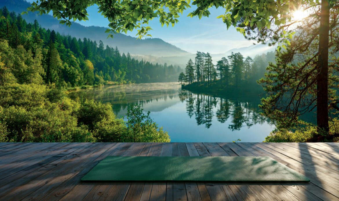 Wilderness Wellness Nature Healing Therapy